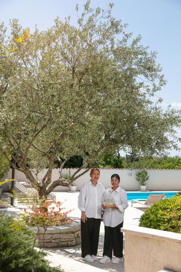Residence Pietre D'Istria - With Private Service Burići Eksteriør billede
